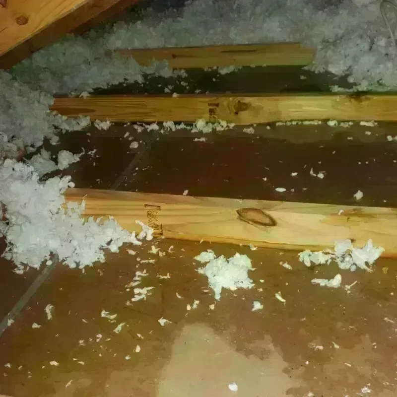 Attic Water Damage in Canyon Lake, CA