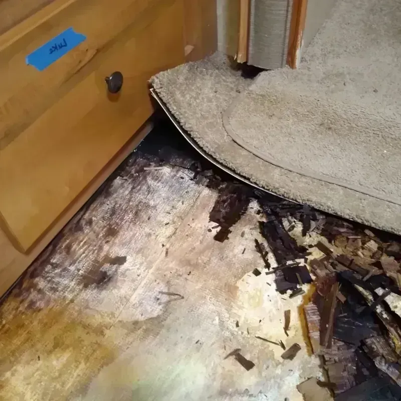 Best Wood Floor Water Damage Service in Canyon Lake, CA